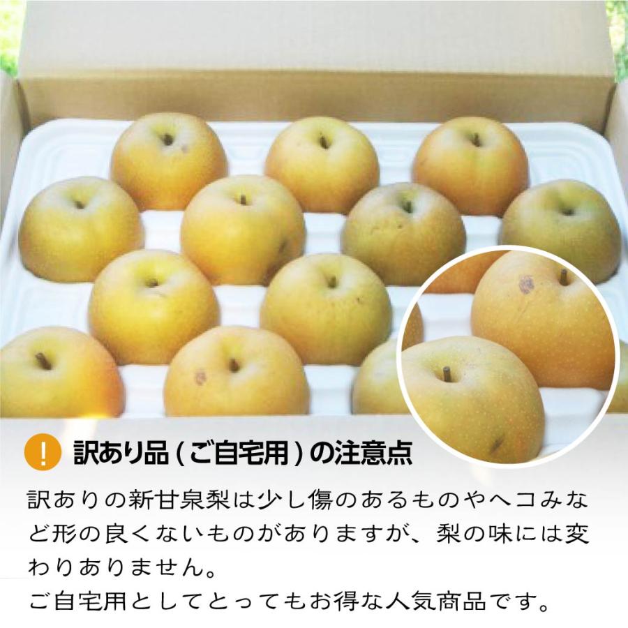 9月上旬出荷】 自宅用 梨 新甘泉 3kg 6~10玉入 鳥取県産 しんかんせん