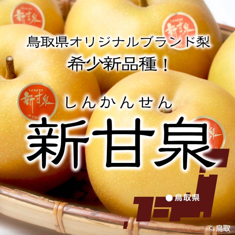 9月上旬出荷】 自宅用 梨 新甘泉 5kg 10~16玉入 鳥取県産 しんかんせん