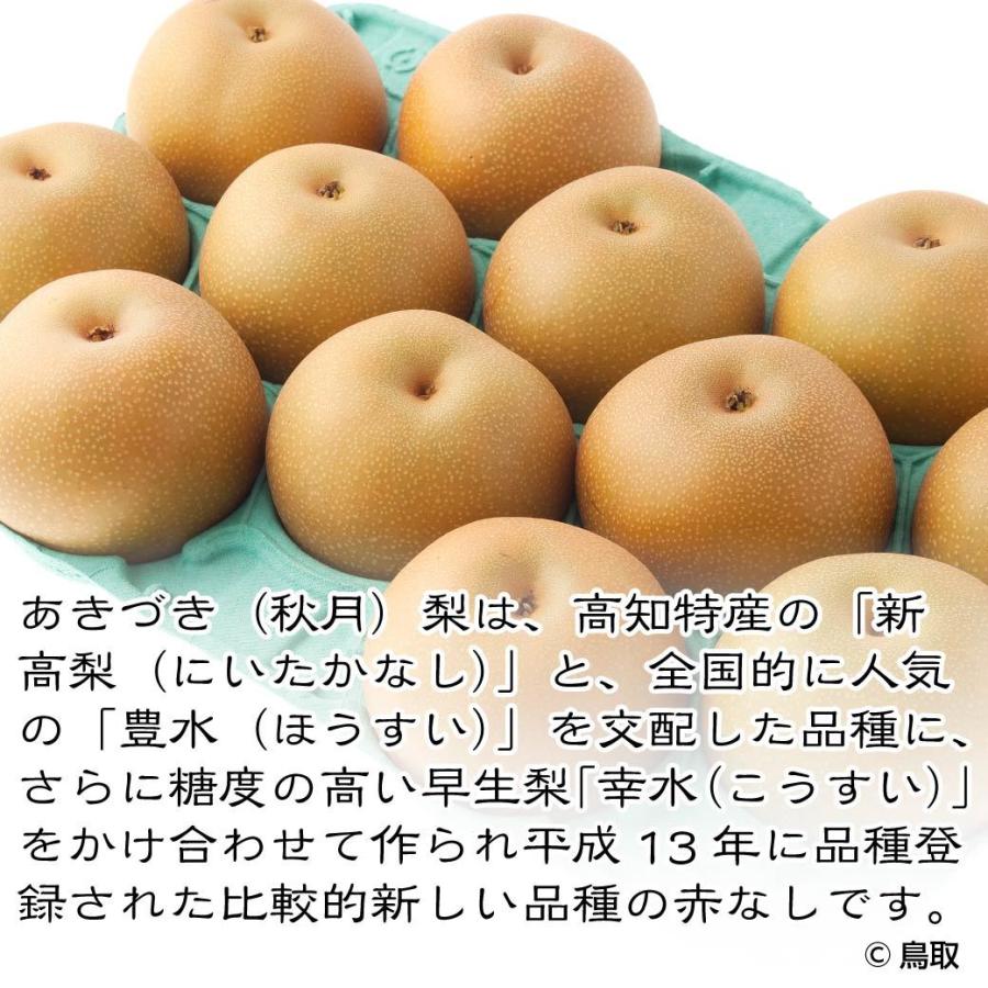 梨 秋月 3kg 6~9玉入 鳥取県産 あきづき 贈答用 進物用 ギフト