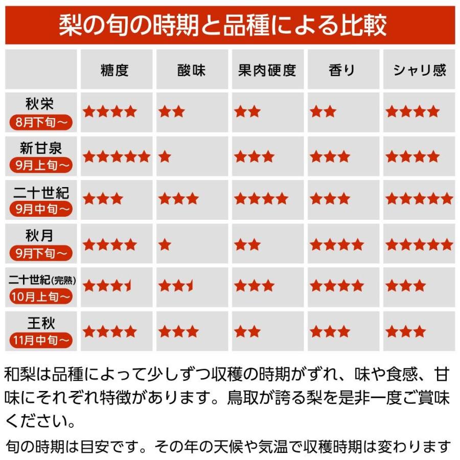 梨 秋月 5kg 10~16玉入 鳥取県産 あきづき 贈答用 進物用 ギフト 送料無料（北海道・沖縄を除く）｜mygift-shop｜09