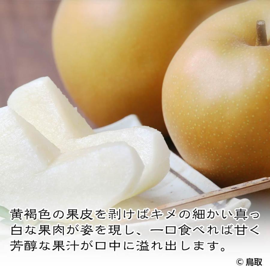 梨 秋月 自宅用 5kg 10~16玉入 鳥取県産 あきづき 訳あり 送料無料