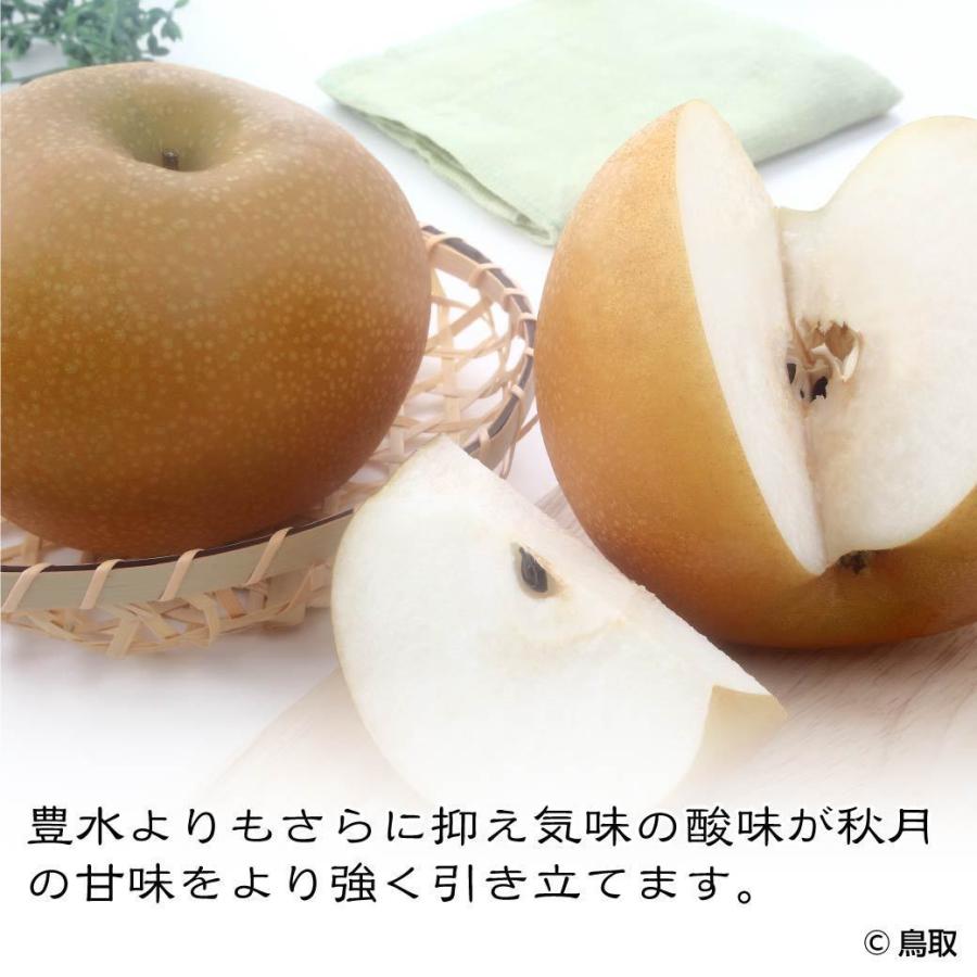 爆買】 梨 秋月 自宅用 5kg 10~16玉入 鳥取県産 あきづき 訳あり 送料