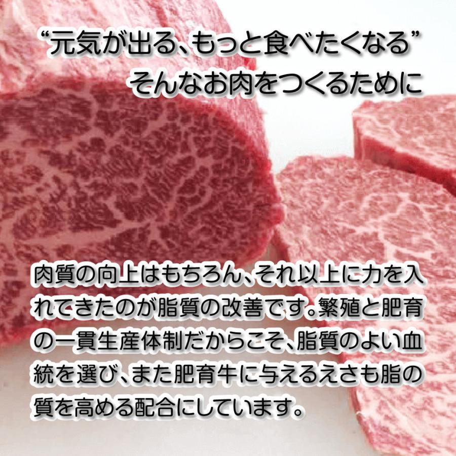 牛肉 ステーキ 国産 霜降り赤身ステーキ 肉  焼肉 450g (3〜4枚入) 鉄板焼き BQQ バーベキュー 鳥取県産 ギフト｜mygift-shop｜08