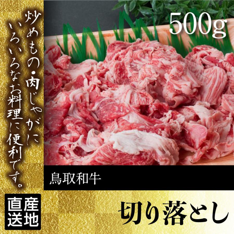 牛肉 切り落とし 国産 500g 鳥取県産 産地直送｜mygift-shop