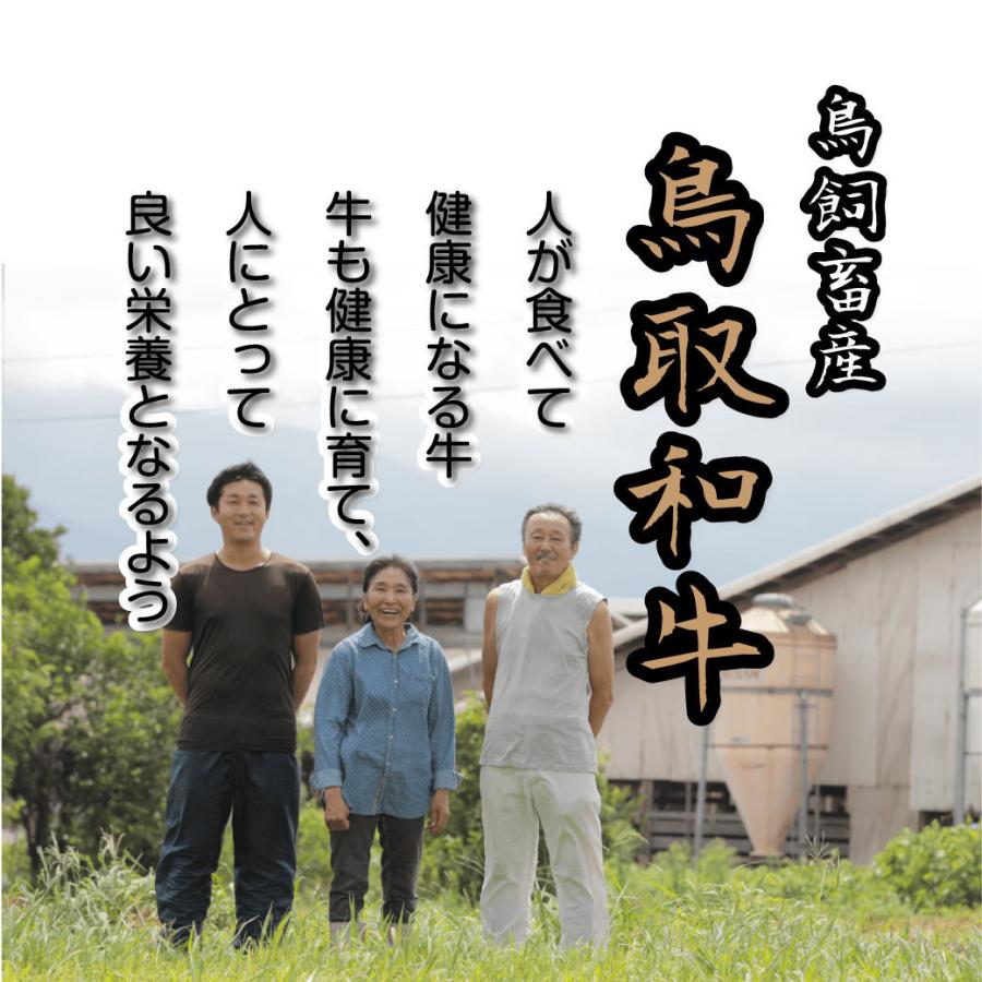 牛肉 切り落とし 国産 500g 鳥取県産 産地直送｜mygift-shop｜03