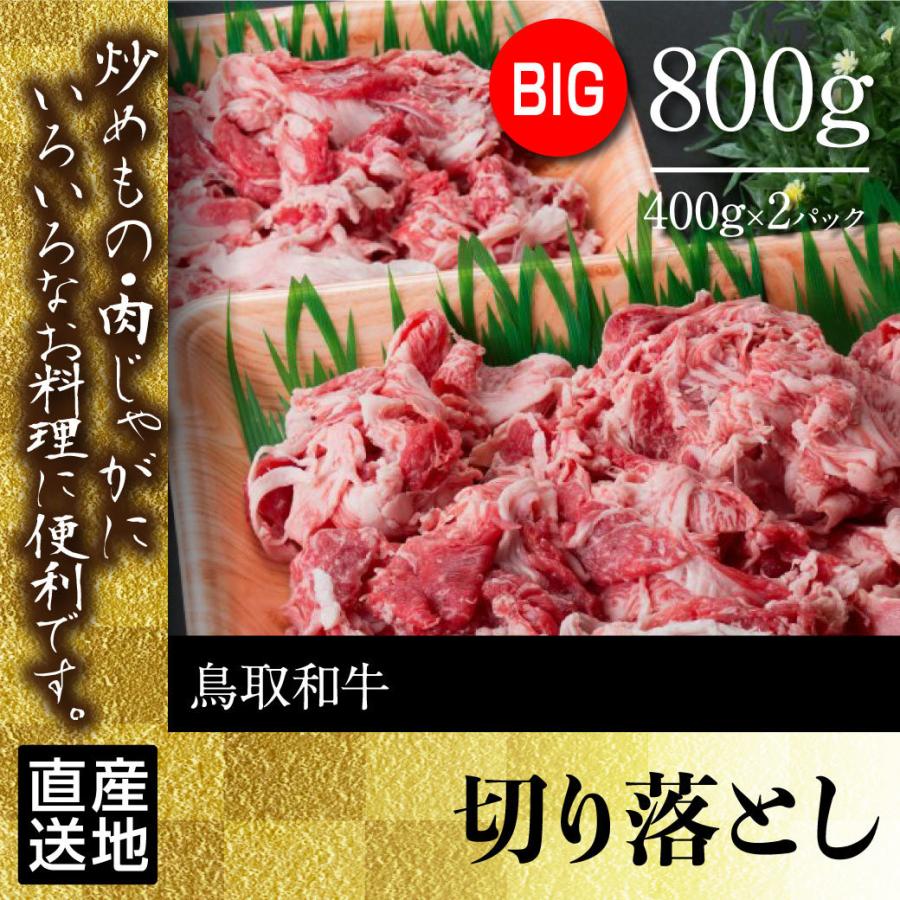 牛肉 切り落とし 国産 800g (400g 2パック) 鳥取県産 産地直送｜mygift-shop