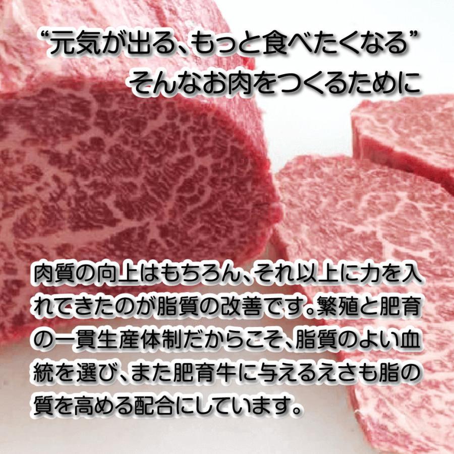 牛肉 切り落とし 国産 800g (400g 2パック) 鳥取県産 産地直送｜mygift-shop｜08