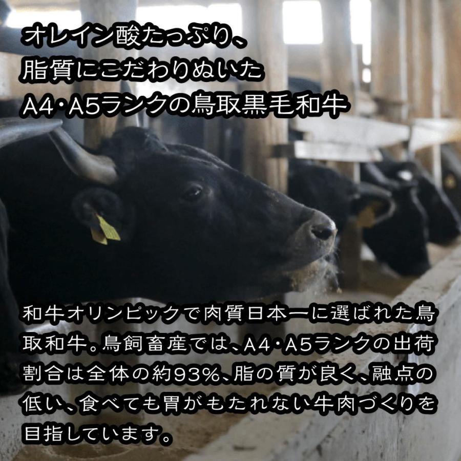 牛肉 焼肉 国産 特上ロース 焼肉用 100g 量り売り BBQ バーベキュー 鉄板焼き 鳥取 産地直送|mygift-shop|03