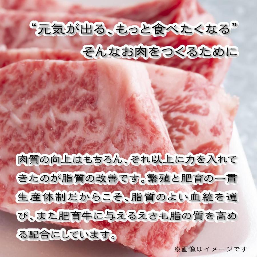 牛肉 焼肉 国産 特上ロース 焼肉用 100g 量り売り BBQ  バーベキュー 鉄板焼き 鳥取 産地直送｜mygift-shop｜05