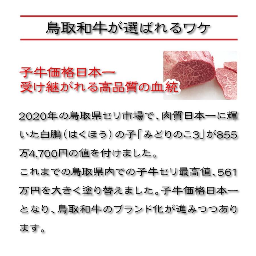 牛肉 焼肉 国産 特上ロース 焼肉用 100g 量り売り BBQ  バーベキュー 鉄板焼き 鳥取 産地直送｜mygift-shop｜07