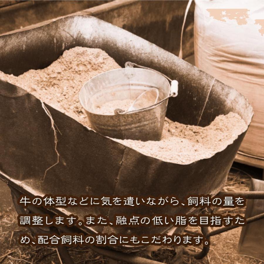 牛肉 焼肉 国産 特上ロース 焼肉用 100g 量り売り BBQ バーベキュー 鉄板焼き 鳥取 産地直送|mygift-shop|08