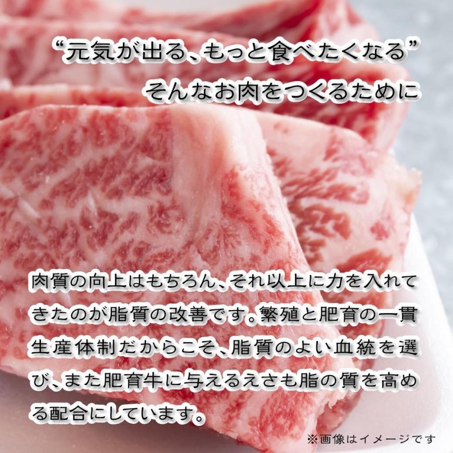 牛肉 焼肉 国産 上ロース 焼肉用 100g 量り売り BBQ  バーベキュー 鉄板焼き 鳥取 産地直送｜mygift-shop｜05