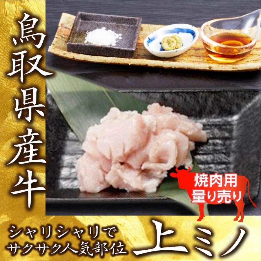鳥取牛 牛肉 ホルモン 国産 上ミノ 焼肉用 100g 量り売り BBQ バーベキュー 鉄板焼き ミノ 第1胃 鳥取 産地直送 : MY ...