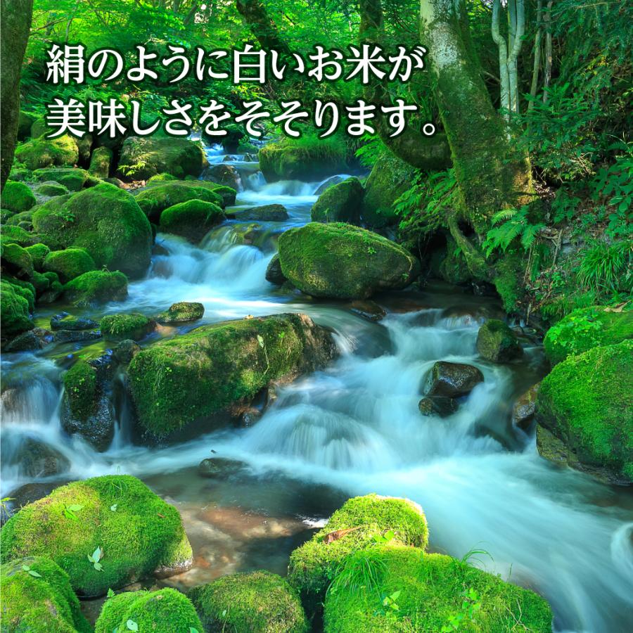 きぬむすめ 新米 令和6年産 鳥取県産 5kg 米 お米 白米 R6 : MY きぬむすめ 新米 令和6年産 鳥取県産 5kg 米 お米 白米 R6 : MY