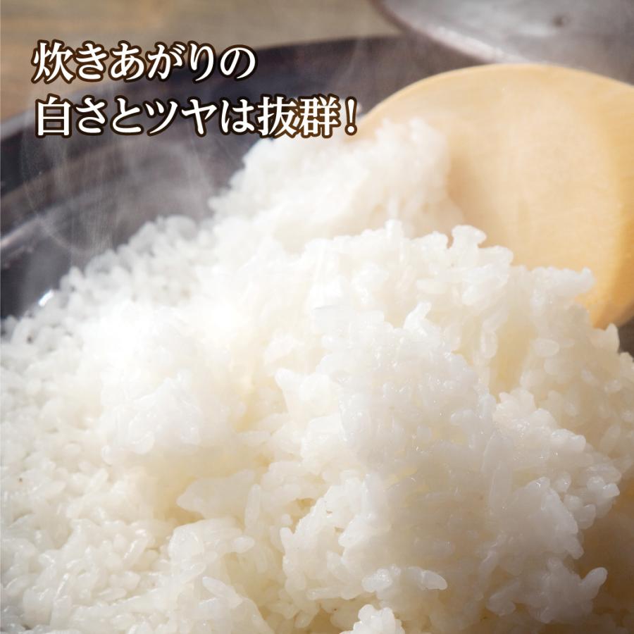 きぬむすめ 新米 令和6年産 鳥取県産 5kg 米 お米 白米 R6 : MY きぬむすめ 新米 令和6年産 鳥取県産 5kg 米 お米 白米 R6 : MY