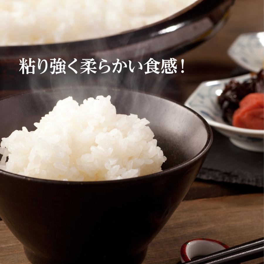 きぬむすめ 新米 令和6年産 鳥取県産 5kg 米 お米 白米 R6 : MY きぬむすめ 新米 令和6年産 鳥取県産 5kg 米 お米 白米 R6 : MY