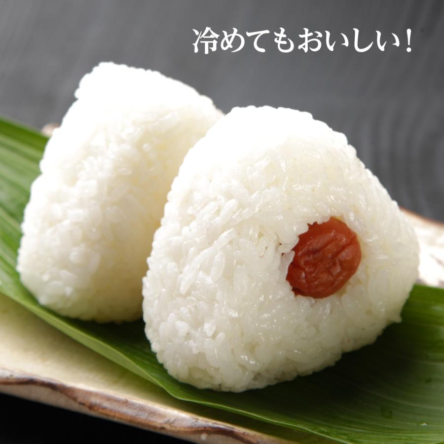 きぬむすめ 新米 令和6年産 鳥取県産 5kg 米 お米 白米 R6 : MY きぬむすめ 新米 令和6年産 鳥取県産 5kg 米 お米 白米 R6 : MY