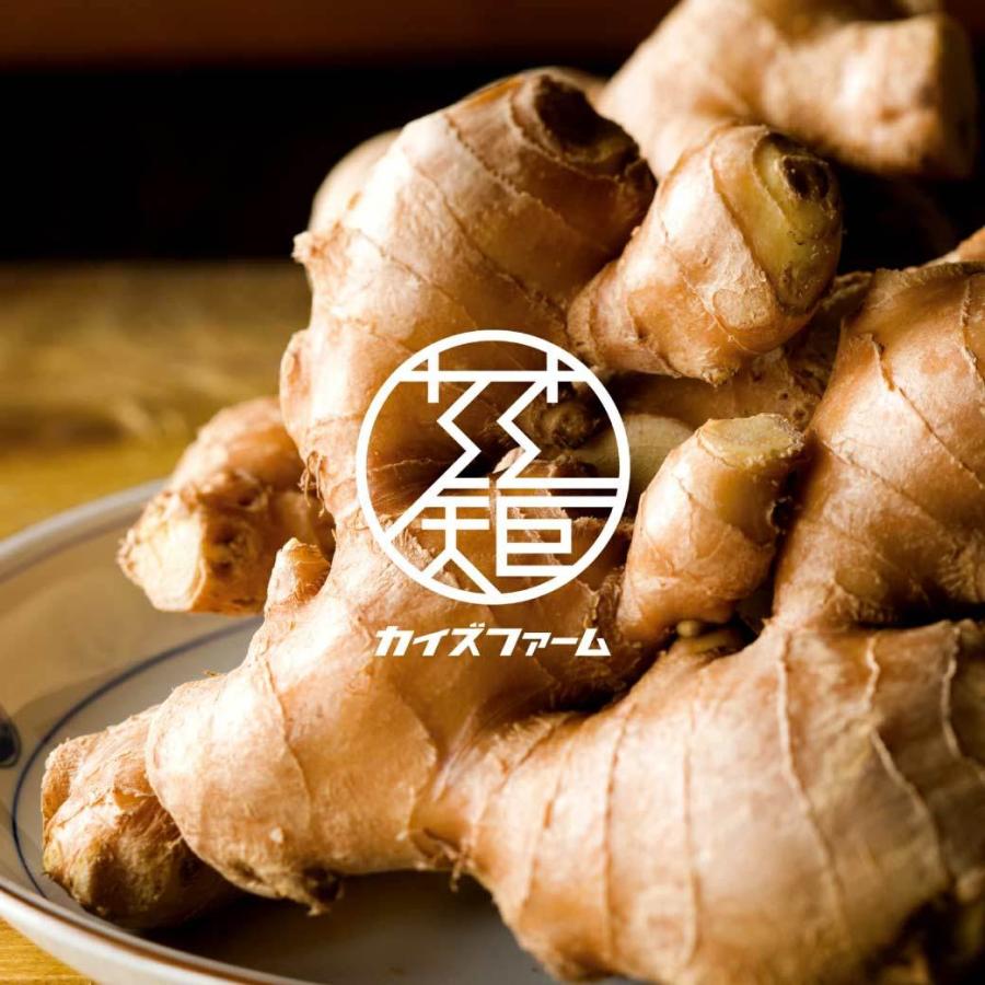 ジンジャー シロップ 生姜シロップ 国産 200ml 生姜 しょうがシロップ