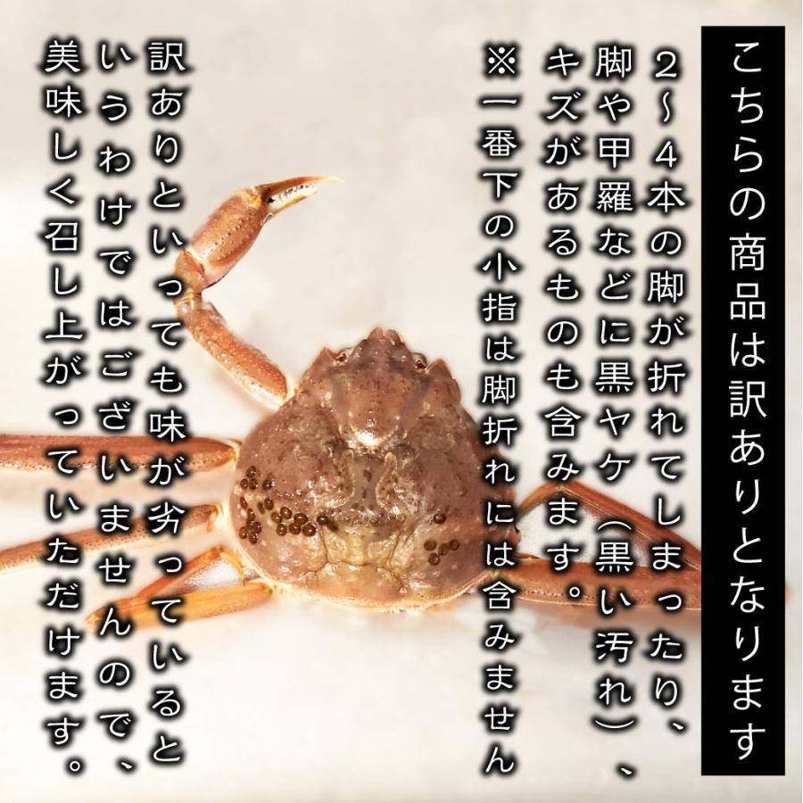 松葉ガニ 選べる 活き ボイル 訳あり 2kg 3~6枚 姿 ズワイガニ 松葉ガニ 選べる 活き ボイル 訳あり 2kg 3~6枚 姿 ズワイガニ