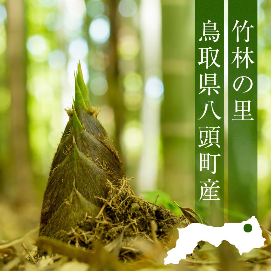 たけのこ 水煮 200g 4パックセット タケノコ 筍 竹の子 お手軽 たけのこ 水煮 200g 4パックセット タケノコ 筍 竹の子 お手軽