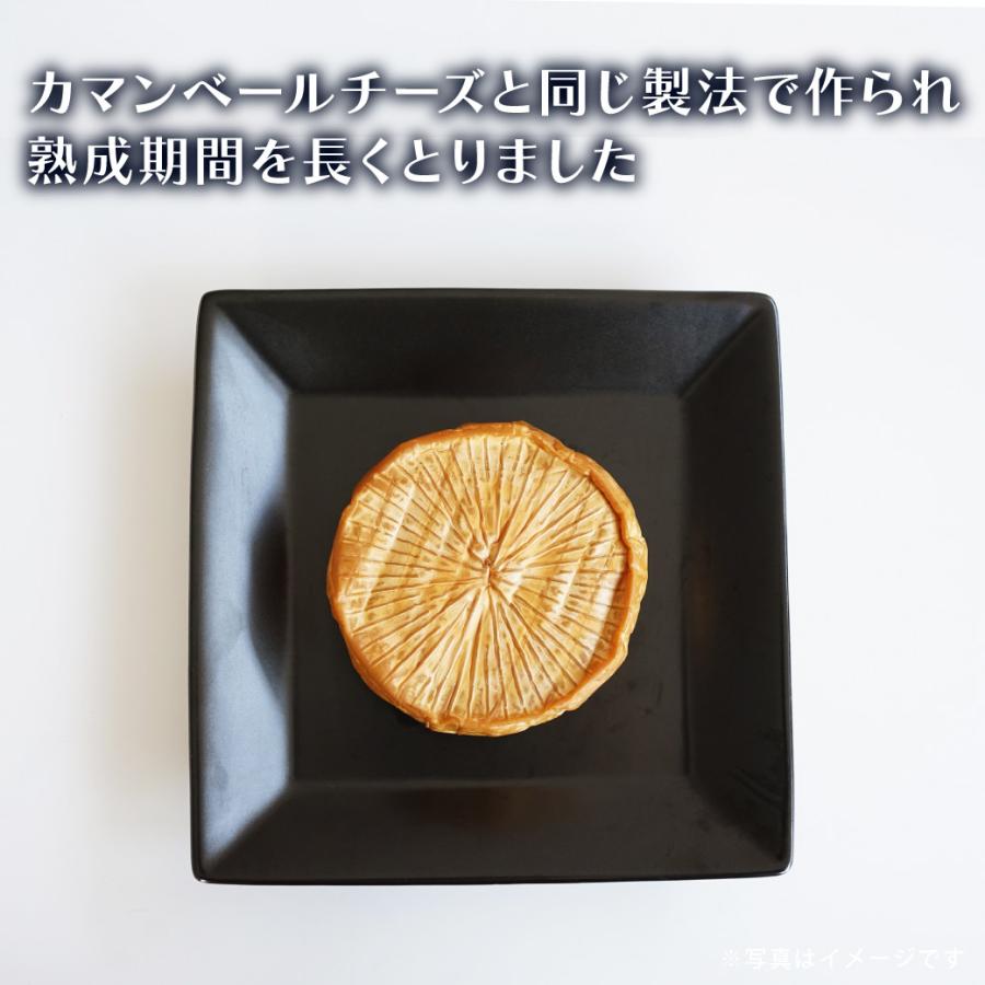 チーズ 燻製 ブリーチーズ 110g カマンベールチーズ おつまみ お菓子 スイーツ スモーク ギフト プレゼント｜mygift-shop｜02