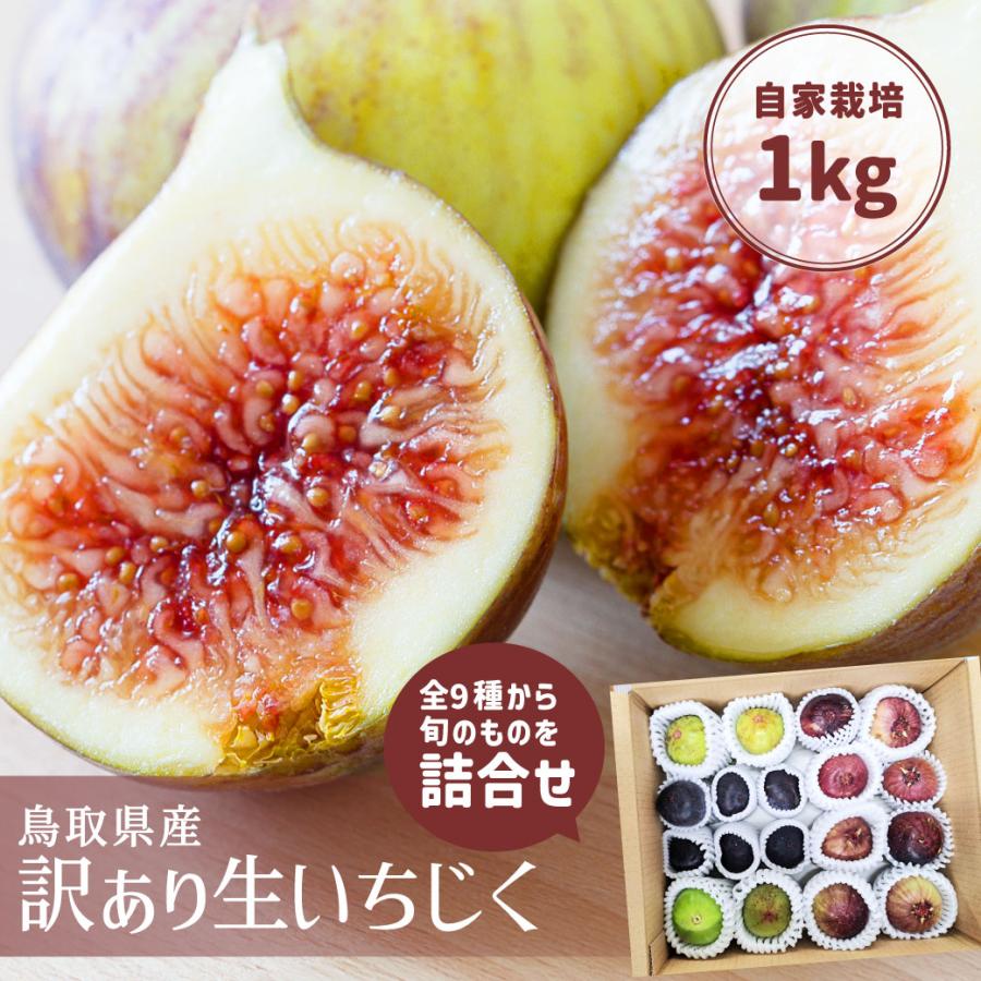 いちじく 詰合せ 訳あり 1kg 多品種栽培 旬 生 イチジク 国産 自家栽培
