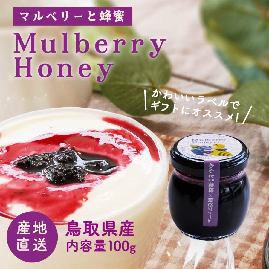 はちみつ マルベリー 100g×1個 ハニー漬け ギフト マルベリーの蜂蜜 純粋 ハチミツ 桑の実 はちみつ漬け プレゼント 鳥取 送料無料(北海道・沖縄以外) | 