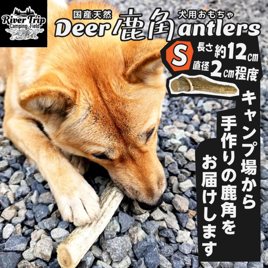 鹿の角 犬用 1本 Sサイズ 天然 無添加 鳥取県産 おやつ 自然 おもちゃ
