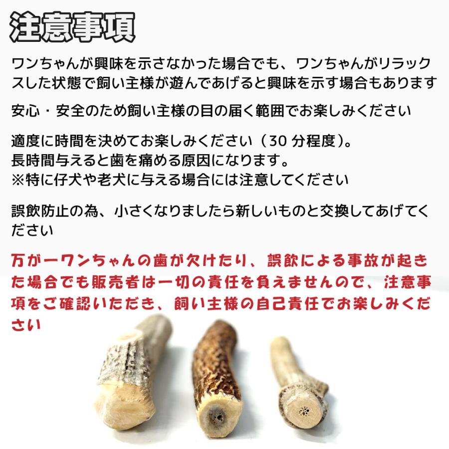 鹿の角 犬用 1本 Mサイズ 天然 無添加 鳥取県産 おやつ 自然 おもちゃ 鹿角 送料無料（北海道・沖縄を除く） |  | 07