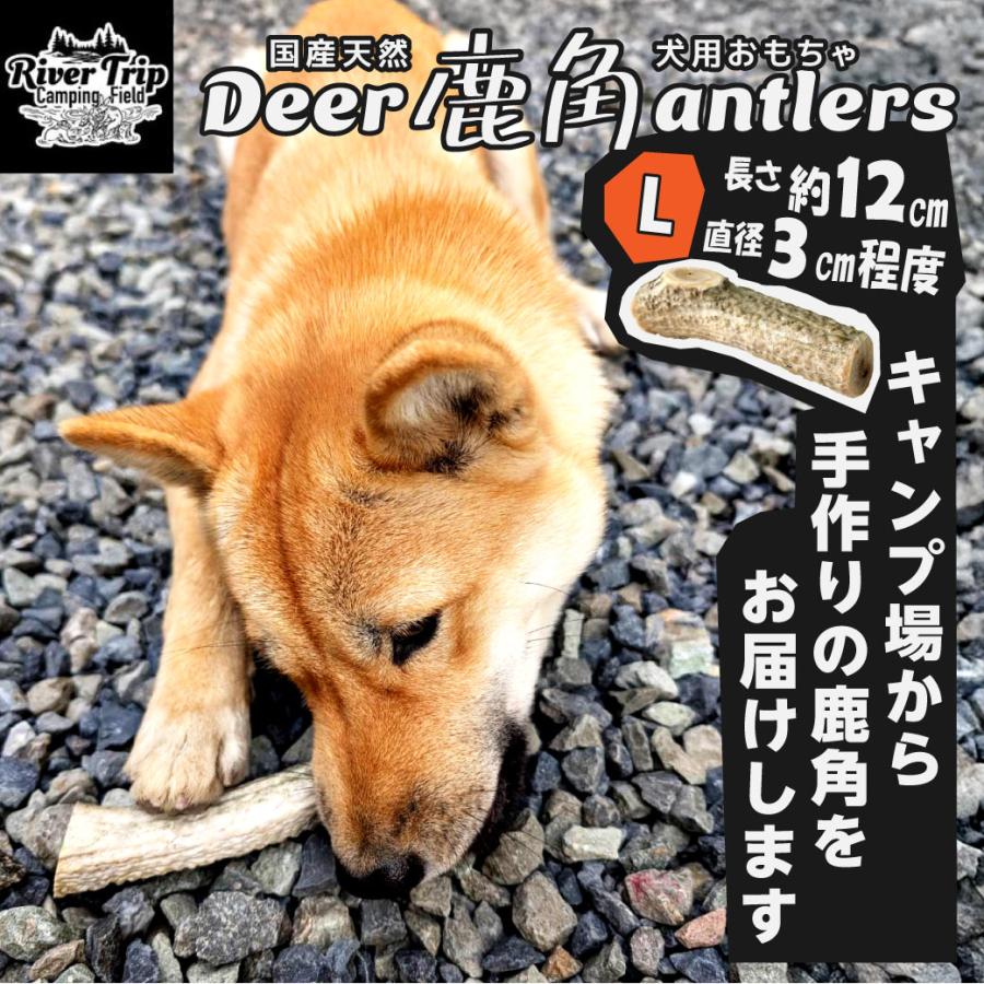 鹿の角 犬用 1本 Lサイズ 天然 無添加 鳥取県産 おやつ 自然 おもちゃ 鹿角 送料無料（北海道・沖縄を除く） | 