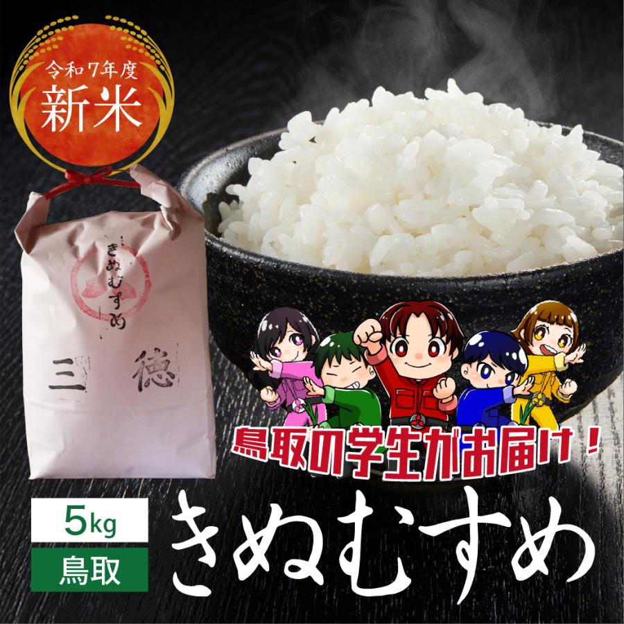 きぬむすめ 新米 令和7年産 鳥取県産 5kg 米 お米 白米 R7 三徳 