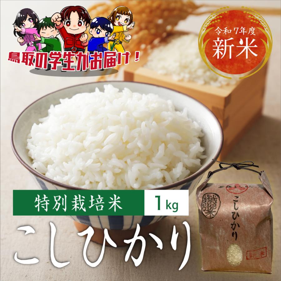 令和4年度　新米　コシヒカリ 特別栽培米 こしひかり 新米 令和7年産 鳥取県産 1kg 米 お米 白米 R7