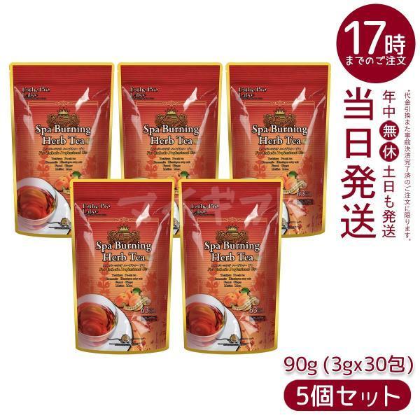 エステプロ ラボ スパ バーニング ハーブティー プロ 3g×30 5個セット 