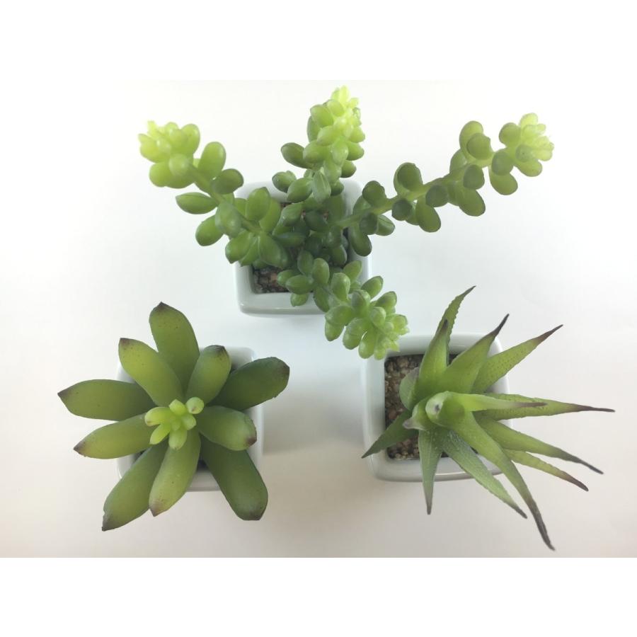 観葉植物 フェイク 多肉植物3点セット 造花 フェイクグリーン フェイクフラワー 消臭 防菌 マイギフト Paypayモール店 通販 Paypayモール
