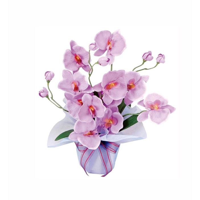 1215円 贈り物 観葉植物 風水 光触媒 ホットファレノ 造花 フェイクグリーン フェイクフラワー 消臭 防菌