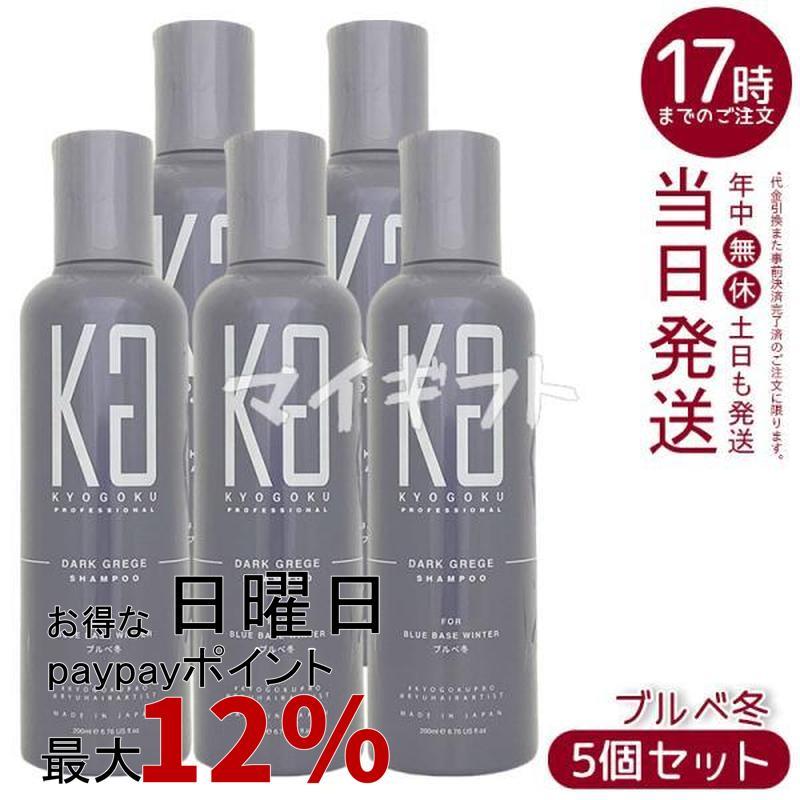 KYOGOKU PROFESSIONAL 京極 パーソナル カラーシャンプー ダークグレー