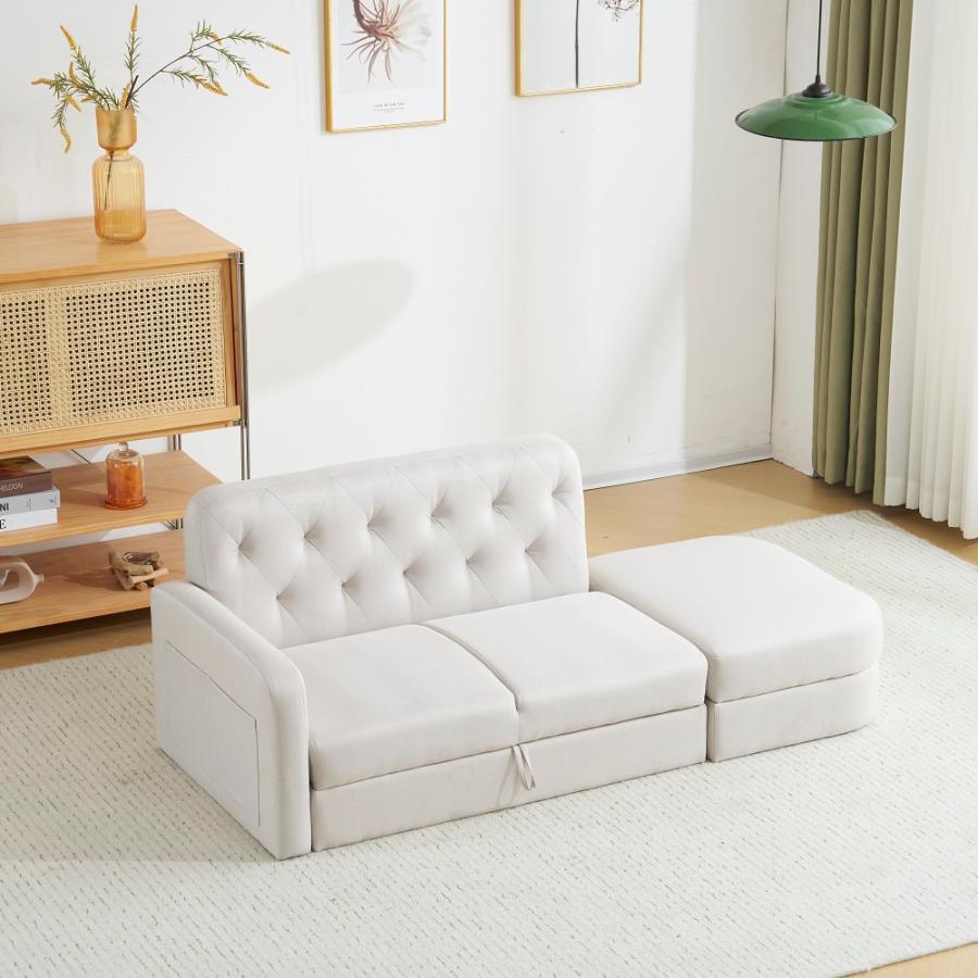 BTM 【全品8%OFF】注目新品☆ソファ 収納付き ソファーベッド
