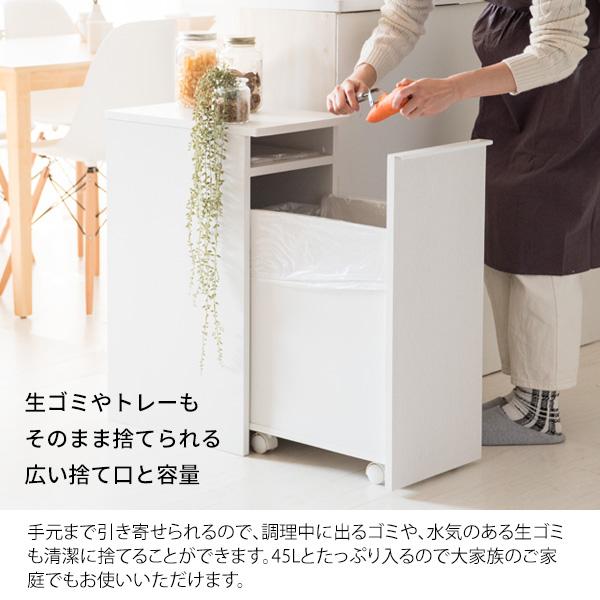 ゴミ箱 キャスター付き 木製 ドロワーダストボックス NotTノット