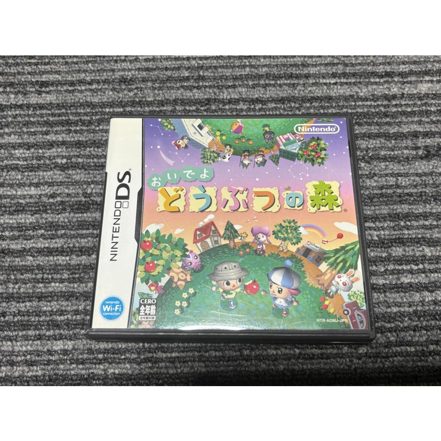 任天堂 DS ソフト おいでよ どうぶつの森 ケース付き （4） | 任天堂