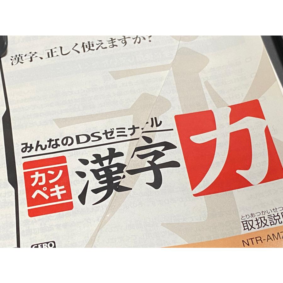 任天堂 DS ソフト みんなのDSゼミナール カンペキ 漢字力 ケース付き｜myhot｜04