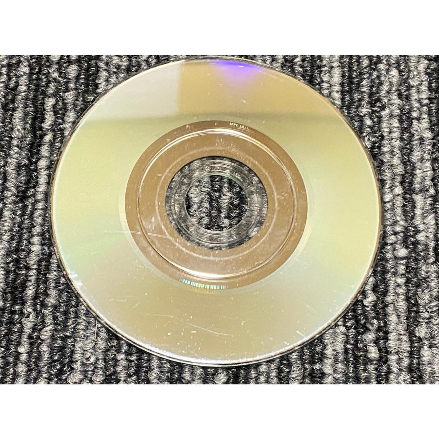 任天堂 ゲームキューブ ソフト どうぶつの森+ GC : マイホット