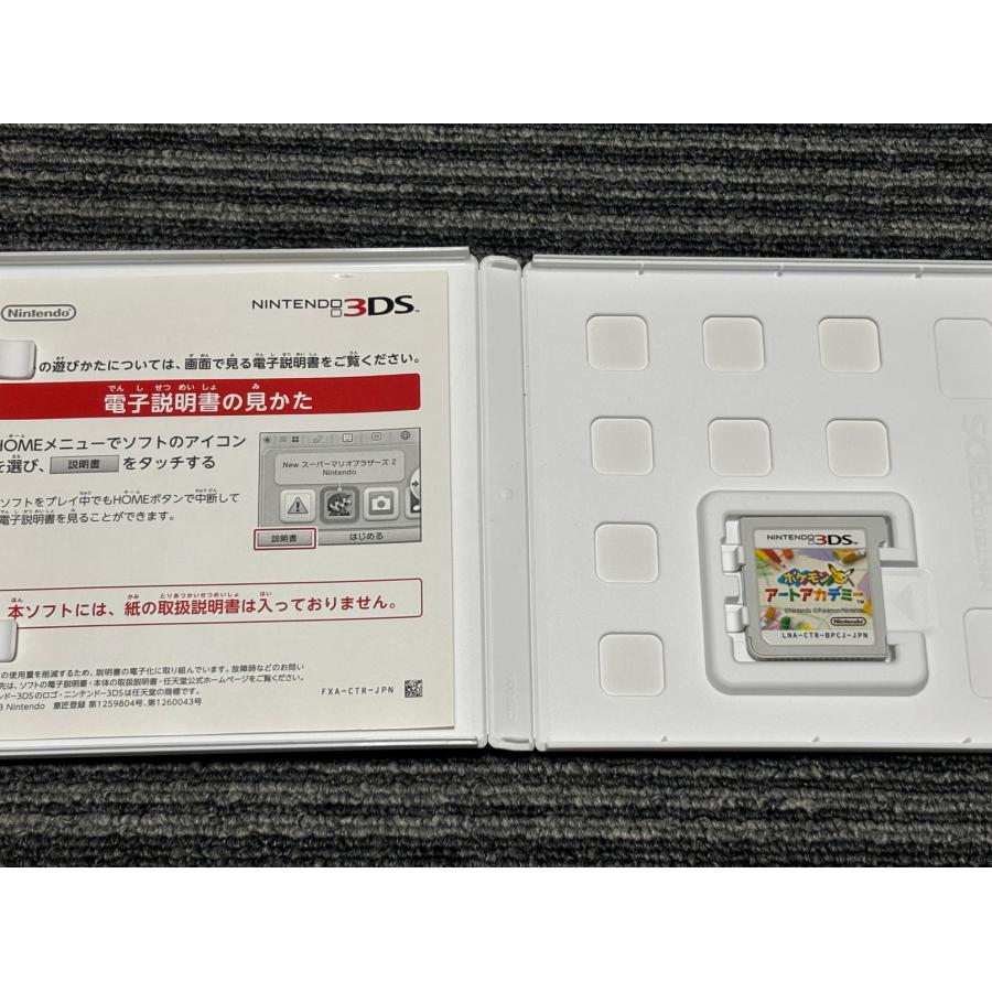 ニンテンドー3DS 任天堂 3DS ソフト ポケモン アートアカデミー ケース