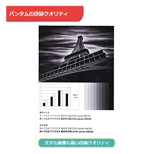 PANTUM（パンタム） PANTUM P2500 A4 モノクロレーザー プリンター