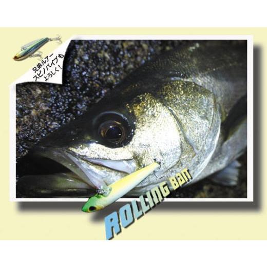 TACKLE HOUSE（タックルハウス） ローリングベイト 55 RB55 Sinking