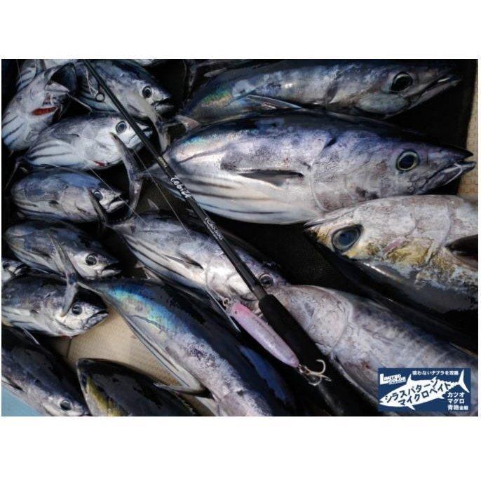 初回限定お試し価格 タックルハウス フィードポッパー フローティング 100 22g 好評につき今年も作りましたカツオマグロ 青物のシラス マイクロベイトパターン攻略カラー Fxlabsplus Com