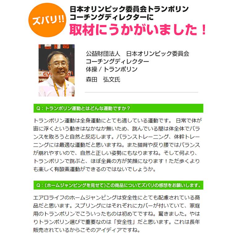 トランポリン ホームジャンピング Dr 6600 トランポリン 家庭用 エアロライフ 静音 大型 エクササイズ 子供 大人 マンション 送料無料 4052 美容健康ダイエット通販 マイラボ 通販 Yahoo ショッピング