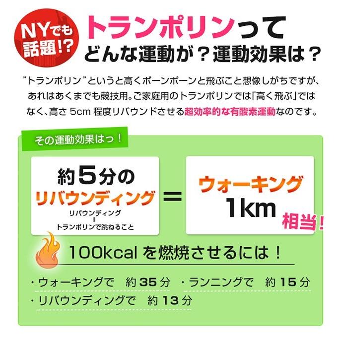 トランポリン ホームジャンピング Dr 6600 トランポリン 家庭用 エアロライフ 静音 大型 エクササイズ 子供 大人 マンション 送料無料 4052 美容健康ダイエット通販 マイラボ 通販 Yahoo ショッピング