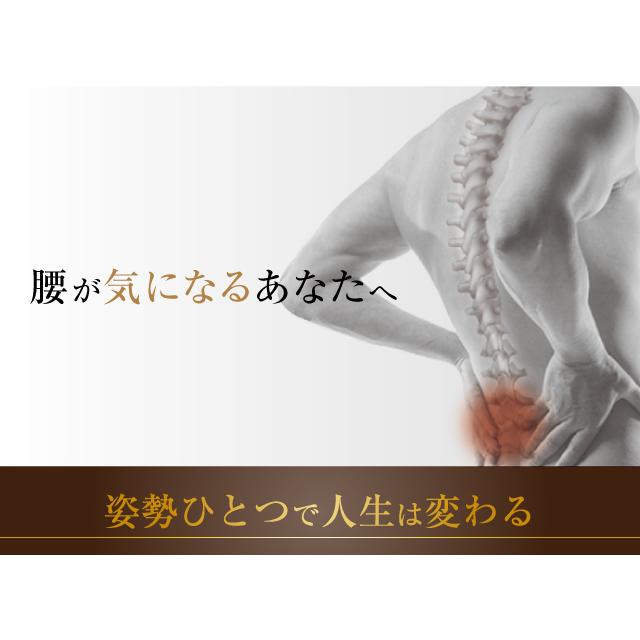 MYTREX 骨盤・姿勢矯正クッション