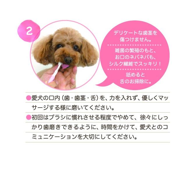 【2本セット】ふわふわシルク歯ブラシ（愛犬の歯ブラシ）Mサイズ（ピンク）【2本セット】　犬用歯ブラシ　犬 歯磨き｜mylab｜04