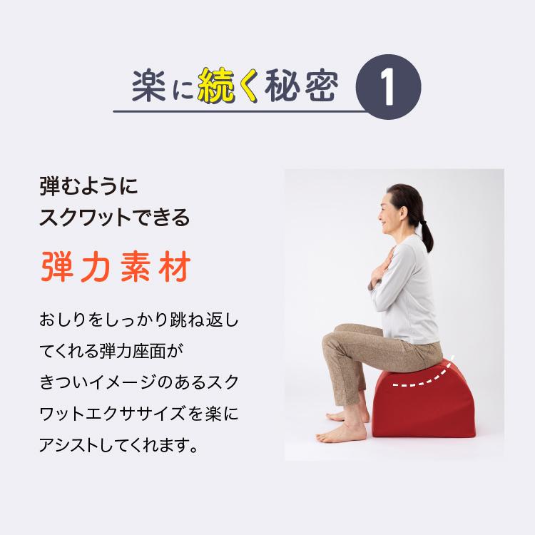 ワイドスクワットホッパー 開脚 ストレッチ 全身 : 美容健康ダイエット